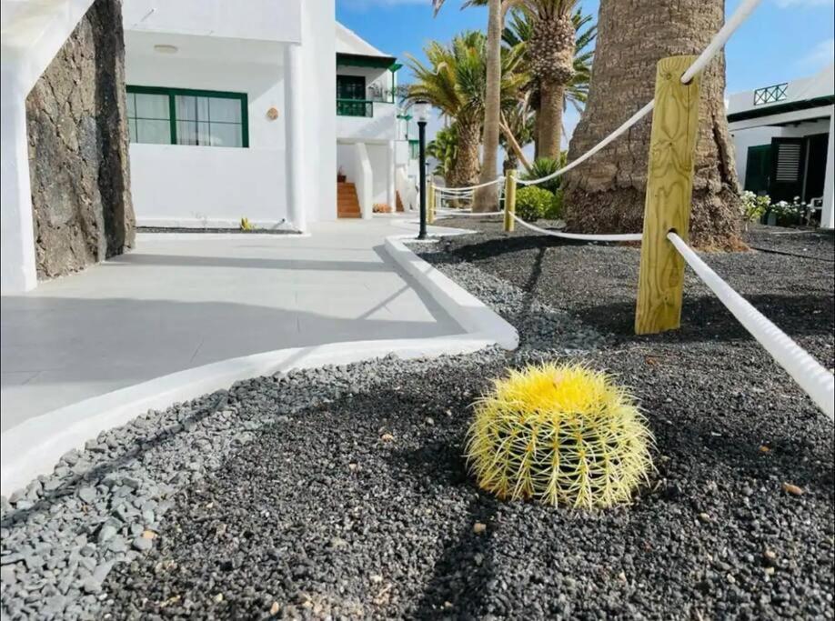 Refugio Del Caracol Daire Puerto del Carmen  Dış mekan fotoğraf